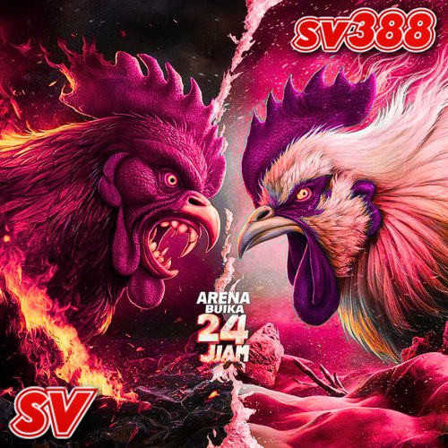 SV388 | Link Login Resmi Sabung Ayam Online Terpercaya 2026 Platform Taruhan Digital Wala Meron Live 24 Jam image 2
