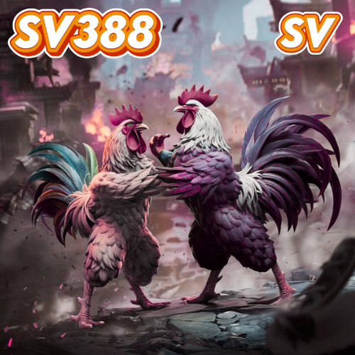 SV388 | Rahasia Para Pemain Raih Kemenangan Di Pertunjukan Sabung Ayam Online