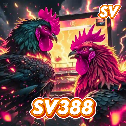 Nonton Live Sabung Ayam Online ? Keajaiban Pertarungan Wala Meron Digital Melalui Platform Resmi Situs SV388
